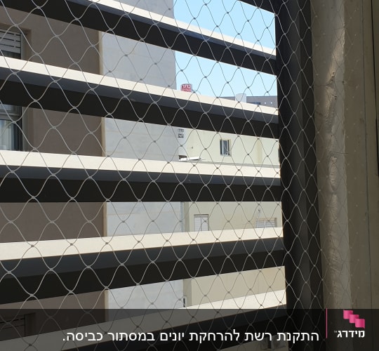 רשת מתכת מותקנת על חלון למניעת כניסת יונים